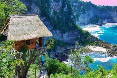 You can stay in a tree house in Bali overlooking stunning views for £30 a night