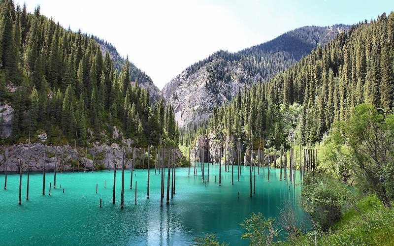 lake-kaindy-schrenks-spruce-trees-poking-out