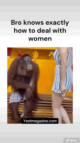 Orangutan Acts Like a Gentleman – The Viral Video Everyone Is Talking