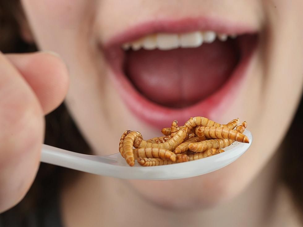 Eating Insects Has Long Made Sense in Africa. The World Must Catch Up.