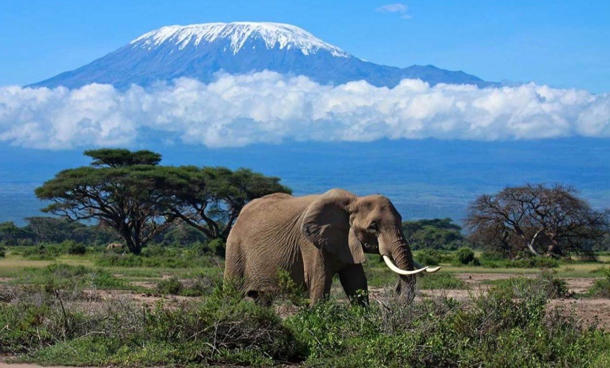 The day I decided to quit my #job, sell my #car, move out and buy a one-way ticket to #Africa