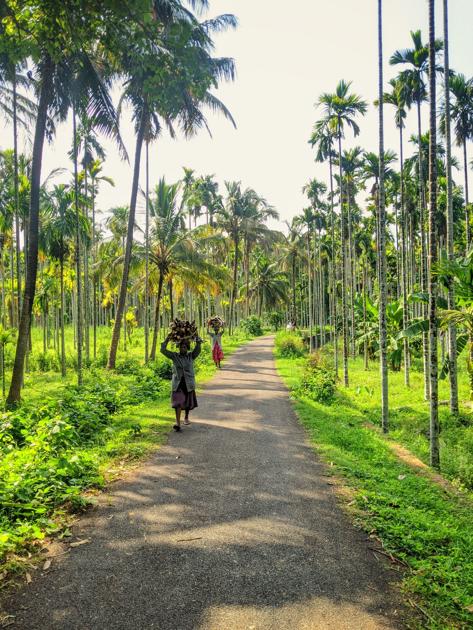 Kerala, An Indian God’s Own Country Where Life Embraces Nature And Capital Of The World's First Martial Art