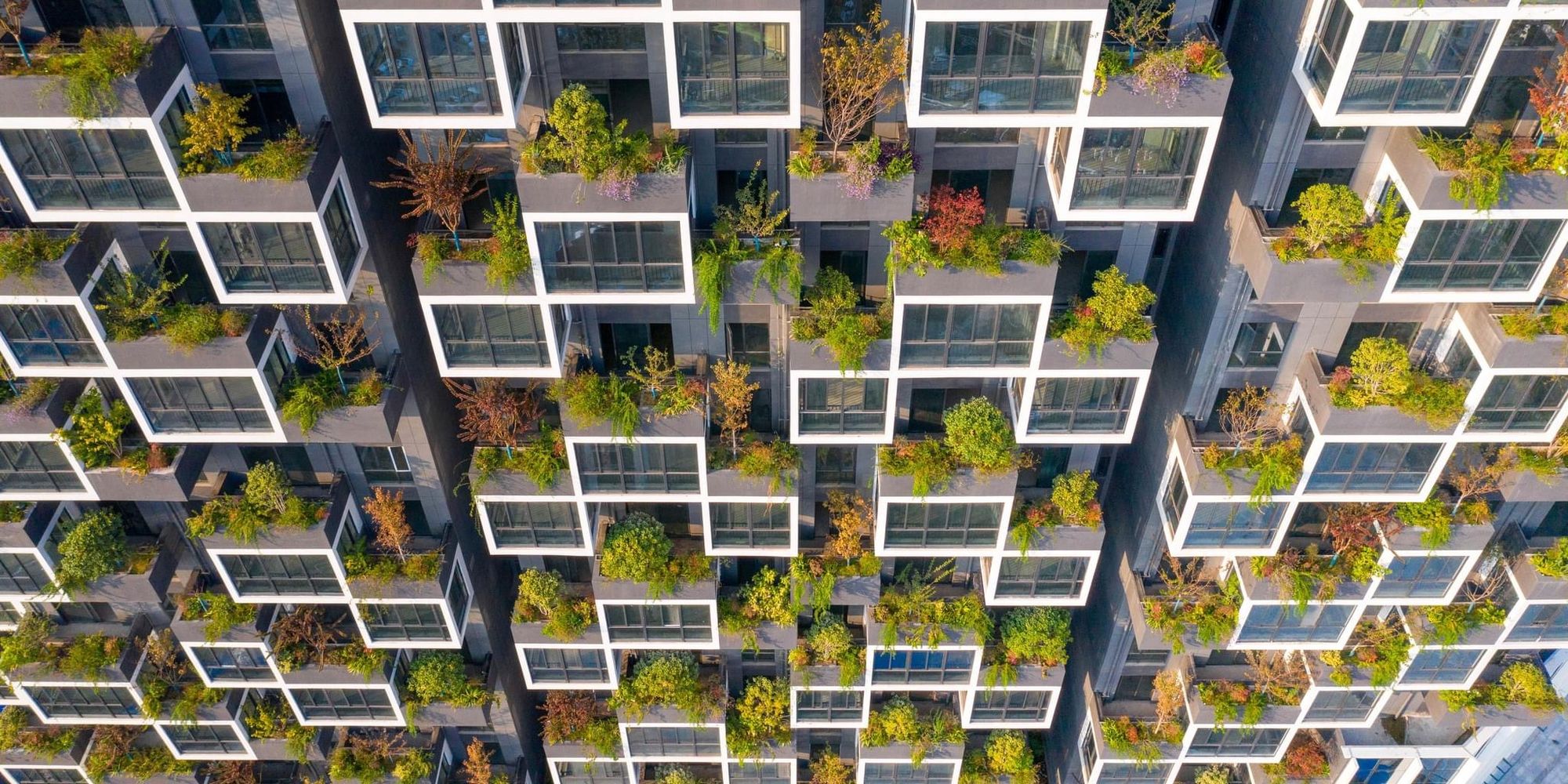 New Chinese Vertical Forest Has Come To Life.