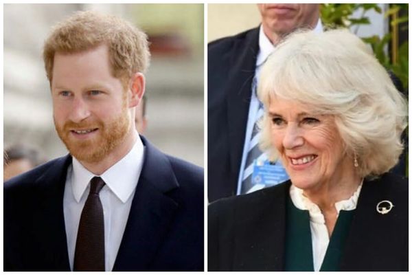 Prince Harry's  Attitude Towards Camilla Parker Bowles Prooves Just How Much He Hates Her