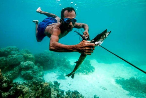 Can Humans Breathe Underwater? The mutation of the BAJAU: super divers in deep waters
