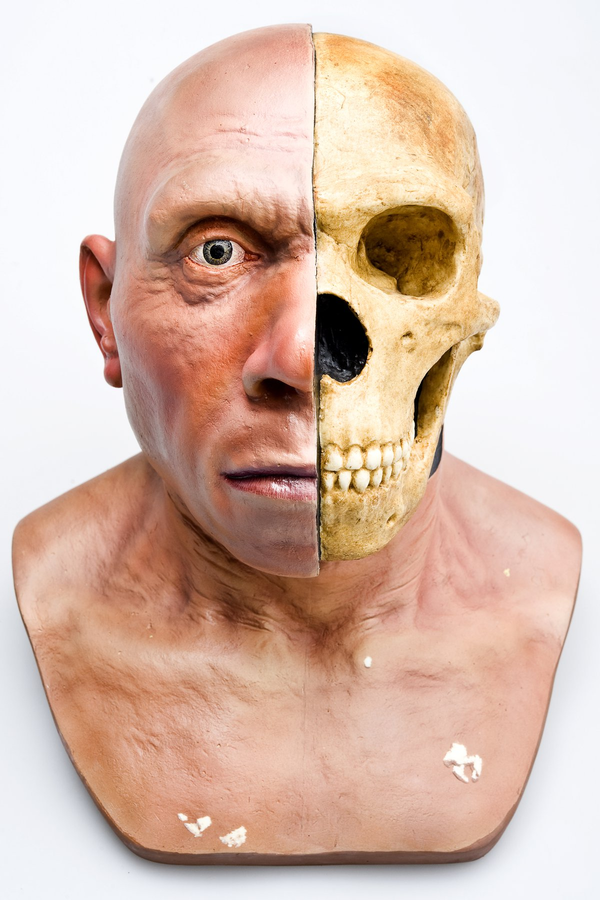 What Will Humans Look Like in a Million Years? Exploring the Future of Evolution