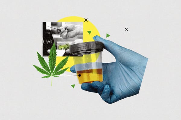 New Study Finds Young Marijuana Users May Face Higher Heart Attack Risk