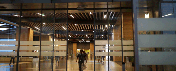 How to Navigate Job Loss After Amazon Layoffs 2025