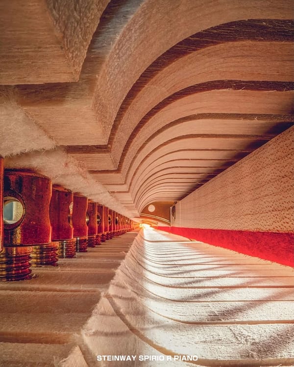 Inside the Music: Photographer Charles Brooks Reveals Hidden Worlds Within Instruments