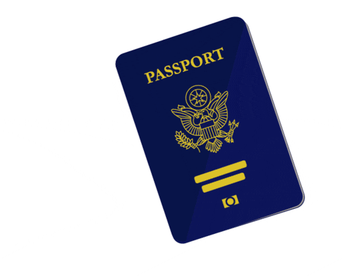 Should Europeans Be Worried About ICE When They Travel to the US? What You Need to Know Before Your Trip